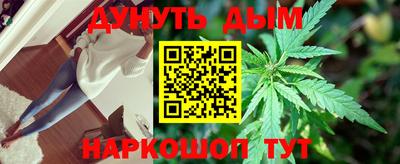 прущие крисы Кандалакша