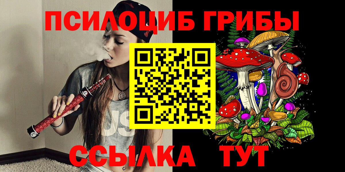Галлюциногенные грибы Psilocybe Лысьва
